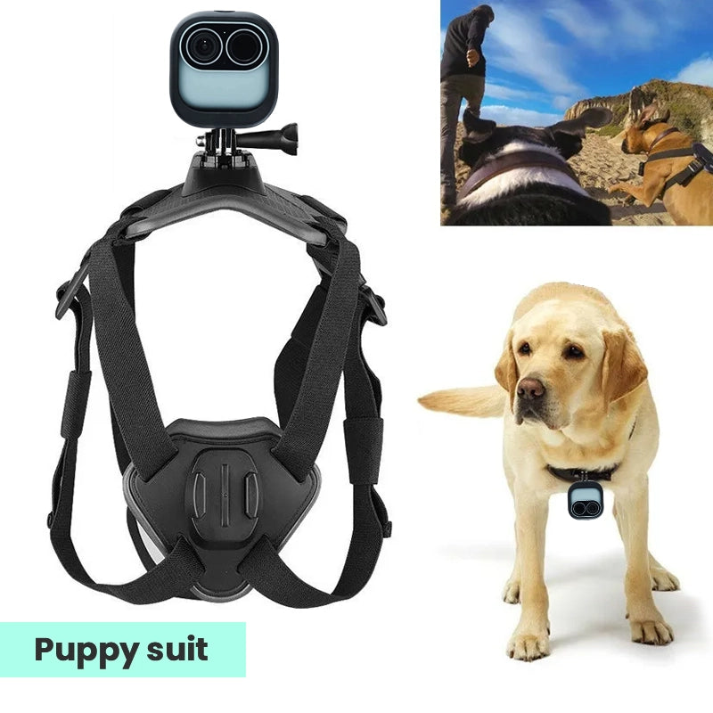 Versatile dog camera mount by Dipo